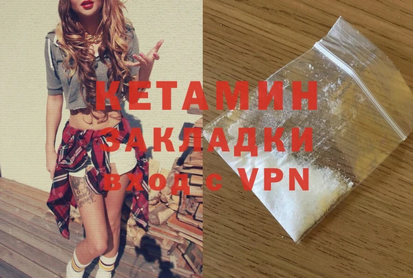 шишки Арсеньев