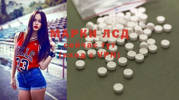 шишки Арсеньев