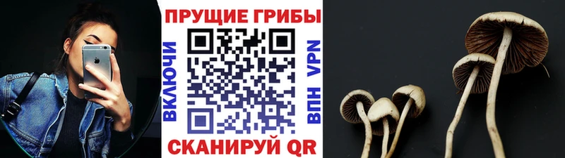 МЕГА сайт  Волгоград  Галлюциногенные грибы GOLDEN TEACHER 