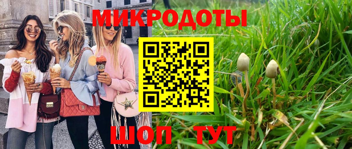 Галлюциногенные грибы Cubensis  Волгоград 