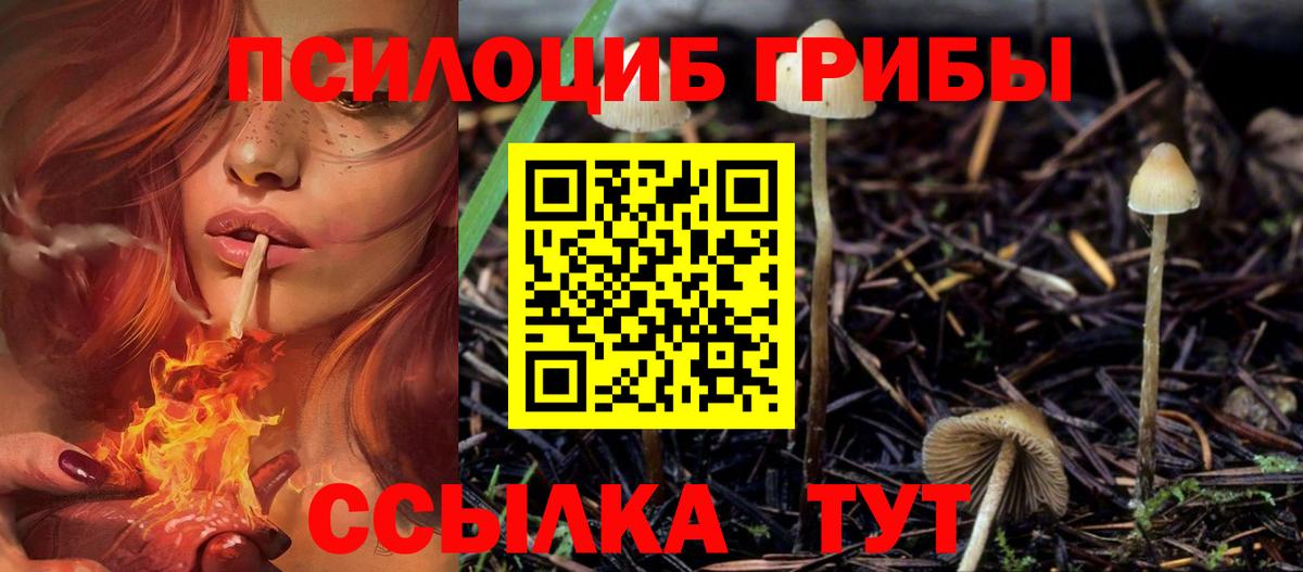 Галлюциногенные грибы MAGIC MUSHROOMS Волгоград
